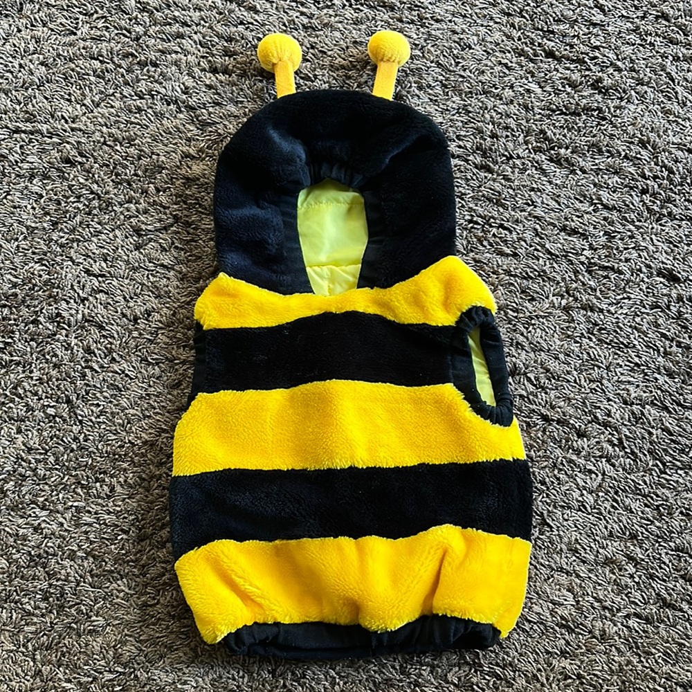 Pullover bumblebee costume